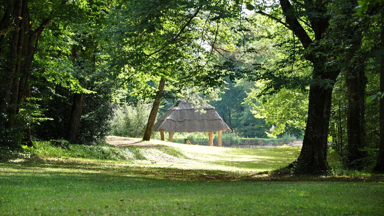 Photo of Outdoor in Saint-Felix-de-Villadeix
