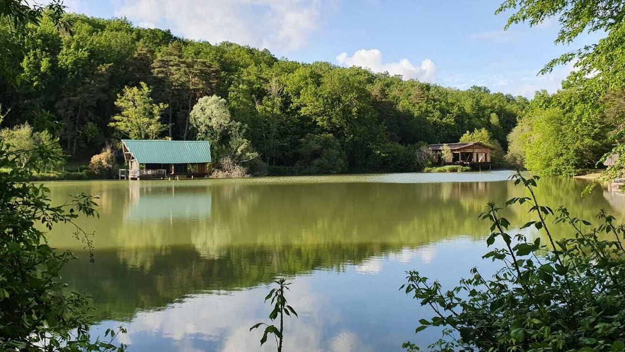 Photo of Outdoor in Saint-Felix-de-Villadeix