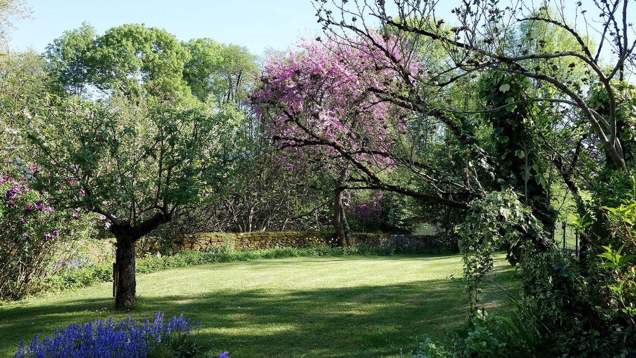 Photo of Outdoor in Villegouge