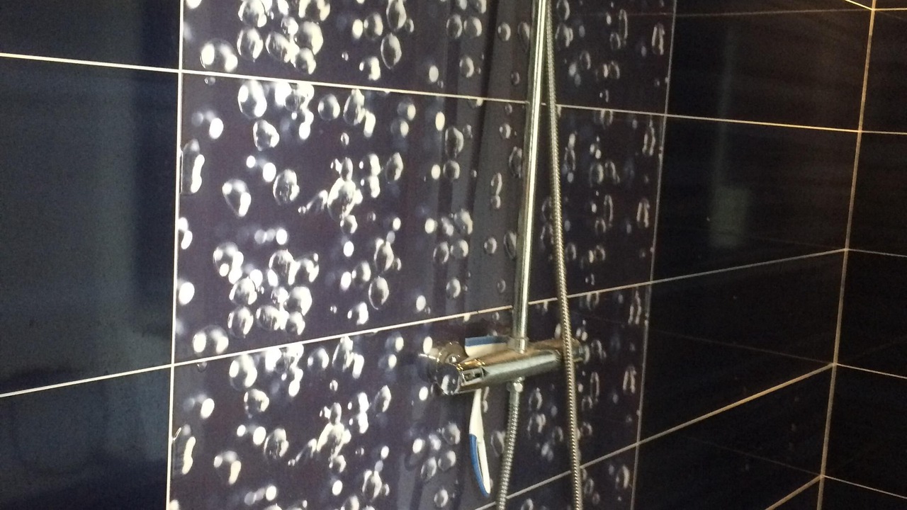 Photo of Bathroom in Sanguinet