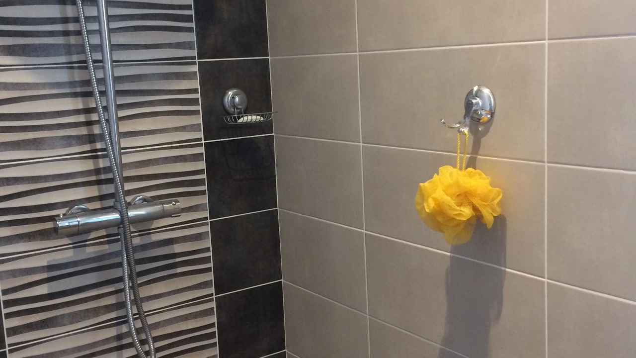 Photo of Bathroom in Sanguinet