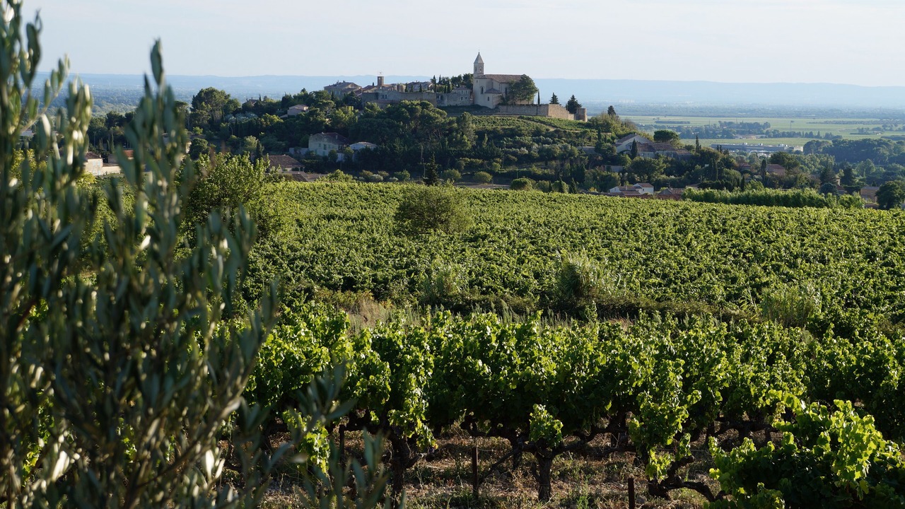 Photo of Outdoor in Cairanne
