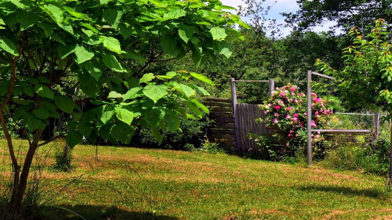 Photo of Outdoor in Saint-Leon-sur-Vezere