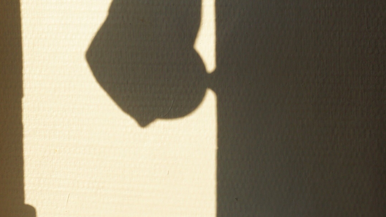 Photo of Others in Saint-Yzans-de-Medoc