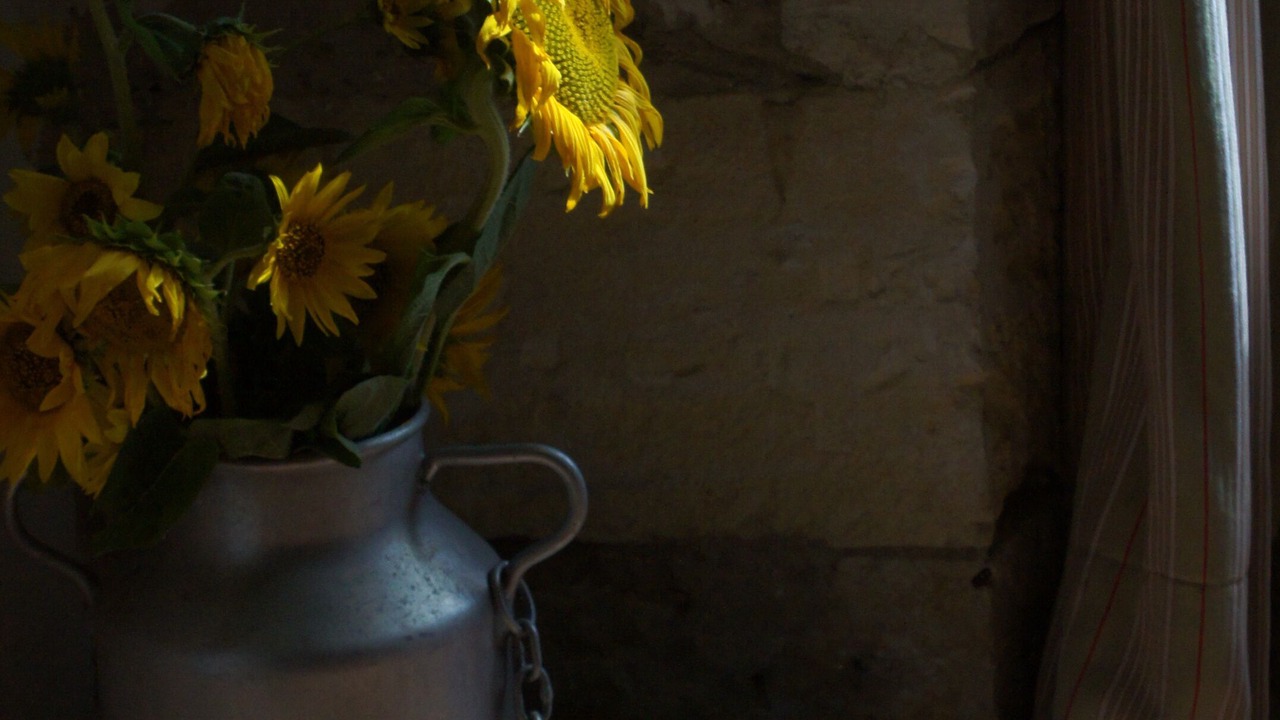 Photo of Others in Saint-Yzans-de-Medoc