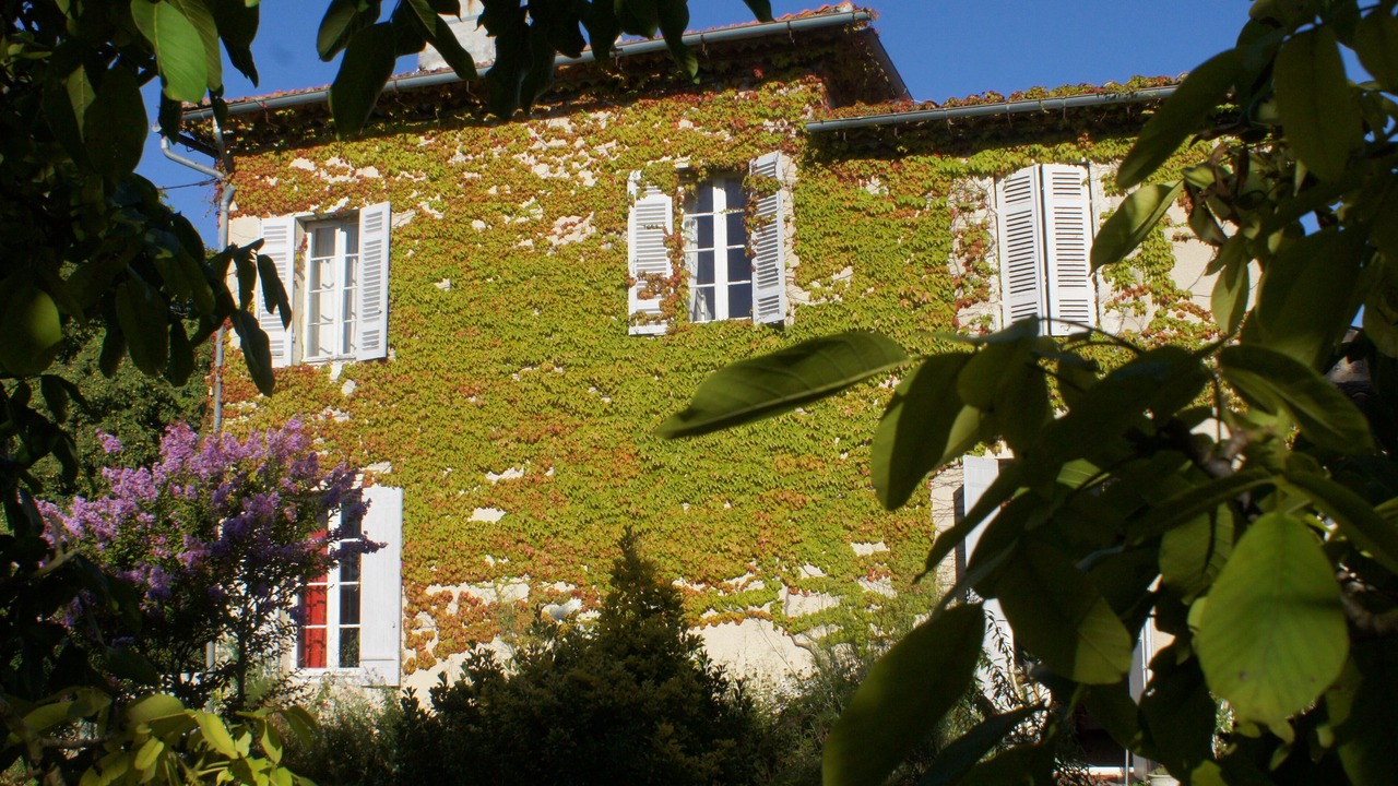 Photo of Outdoor in Saint-Yzans-de-Medoc