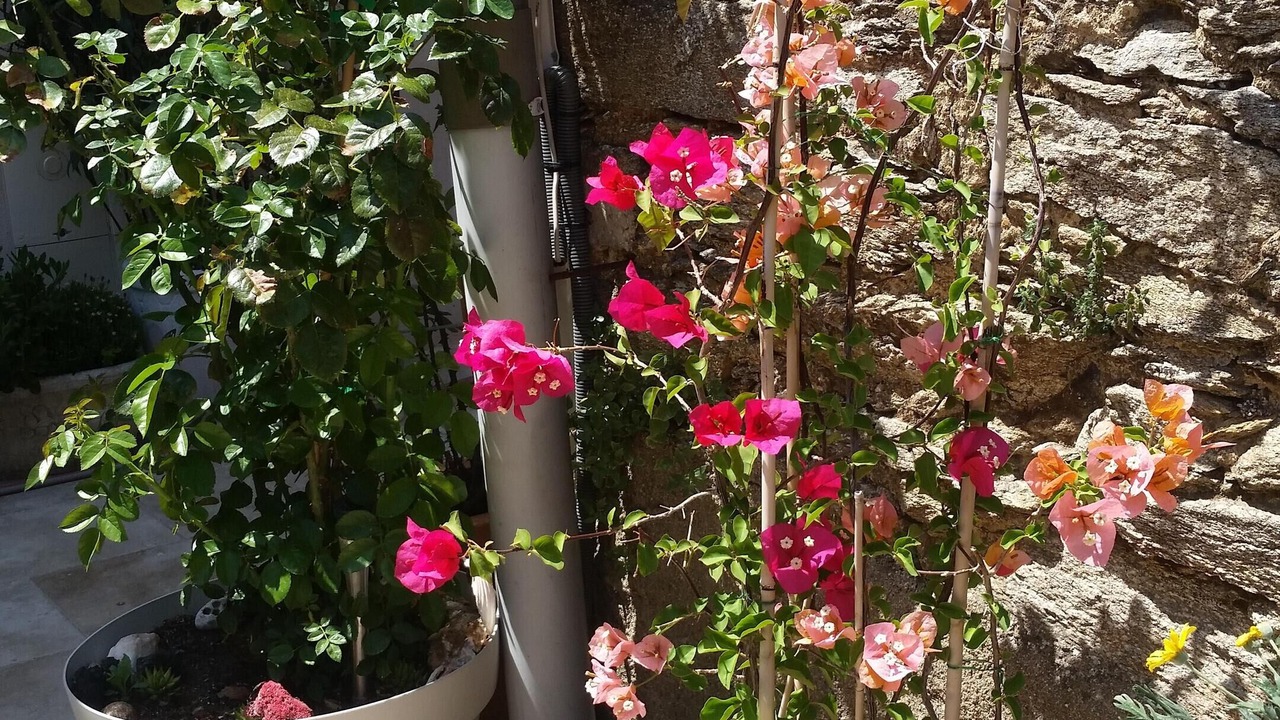 Photo of Outdoor in La Garde-Freinet