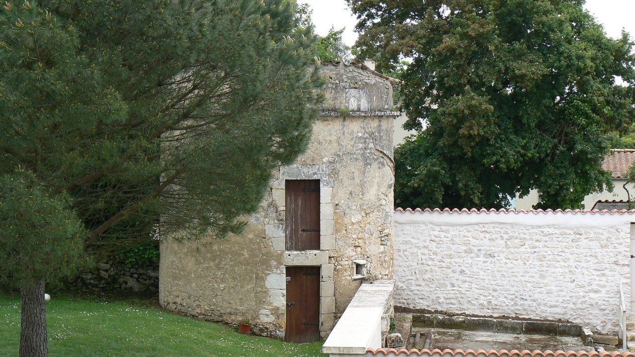 Photo of Outdoor in Montpellier de Medillan