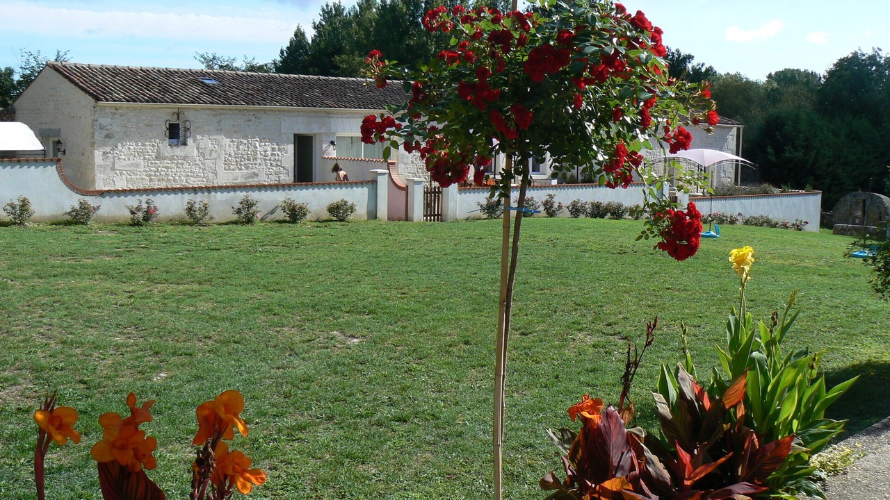 Photo of Outdoor in Montpellier de Medillan