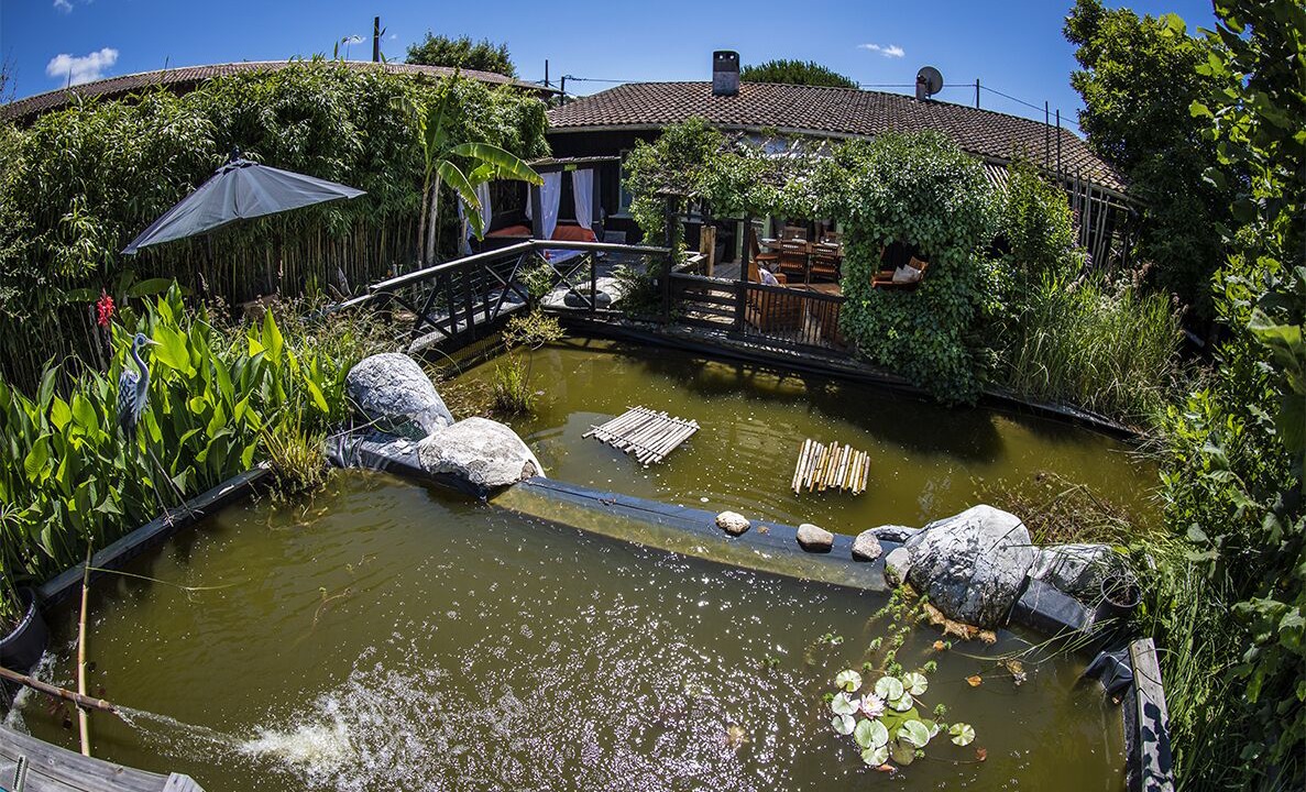 Photo of Outdoor in Taussat