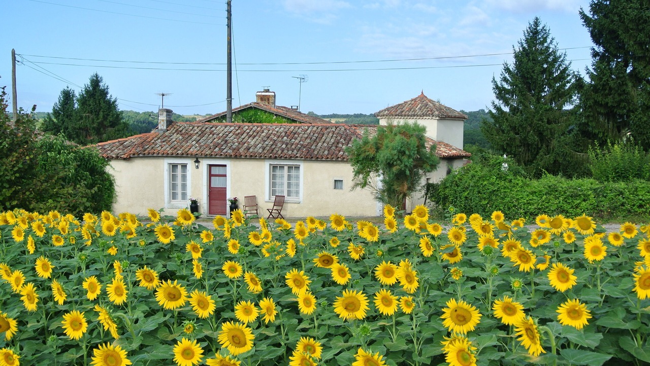 Photo of Outdoor in Brossac