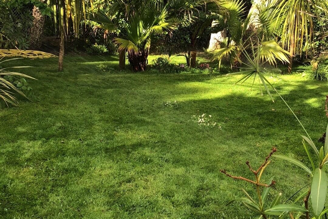 Photo of Outdoor in Capbreton