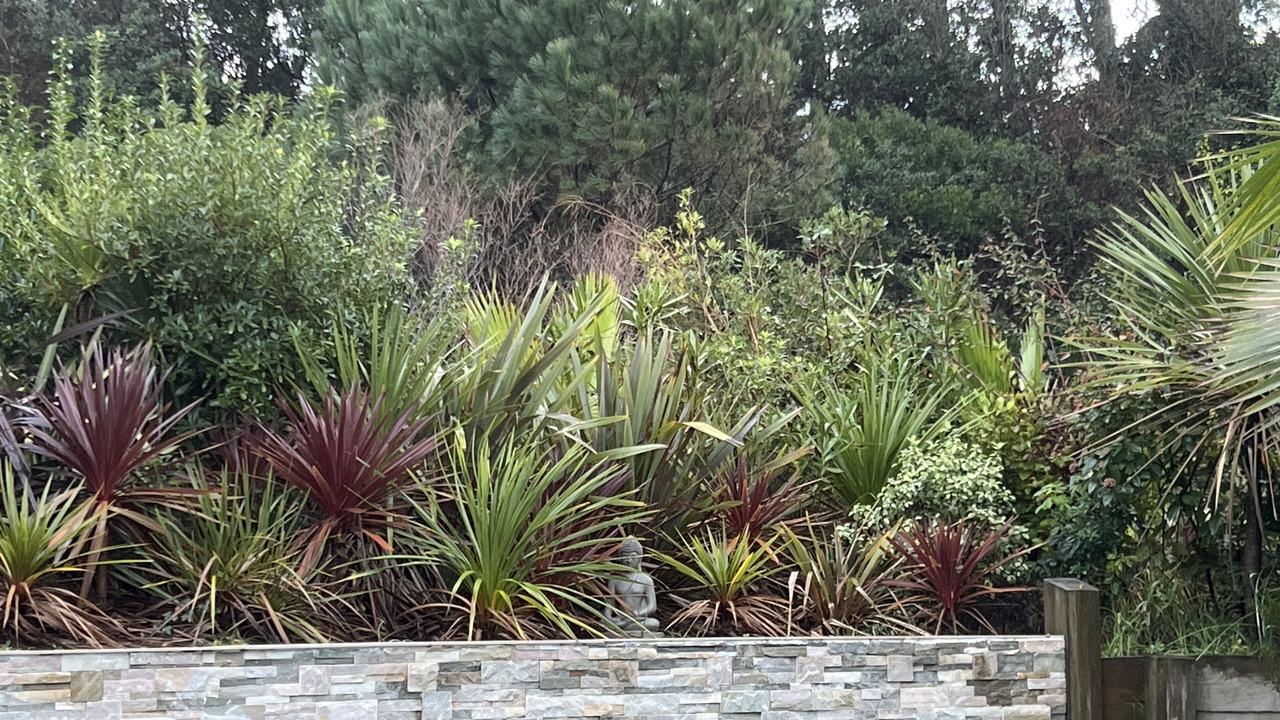 Photo of Outdoor in Capbreton