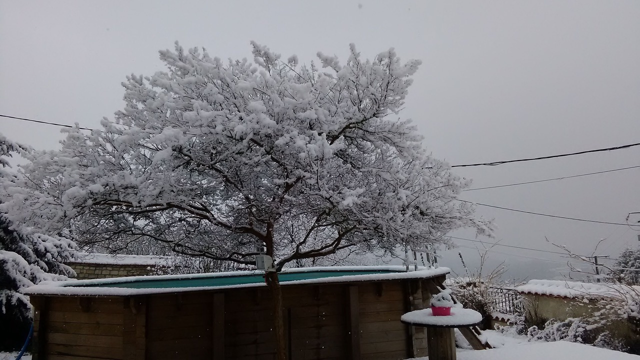 Photo of Outdoor in Beaumont