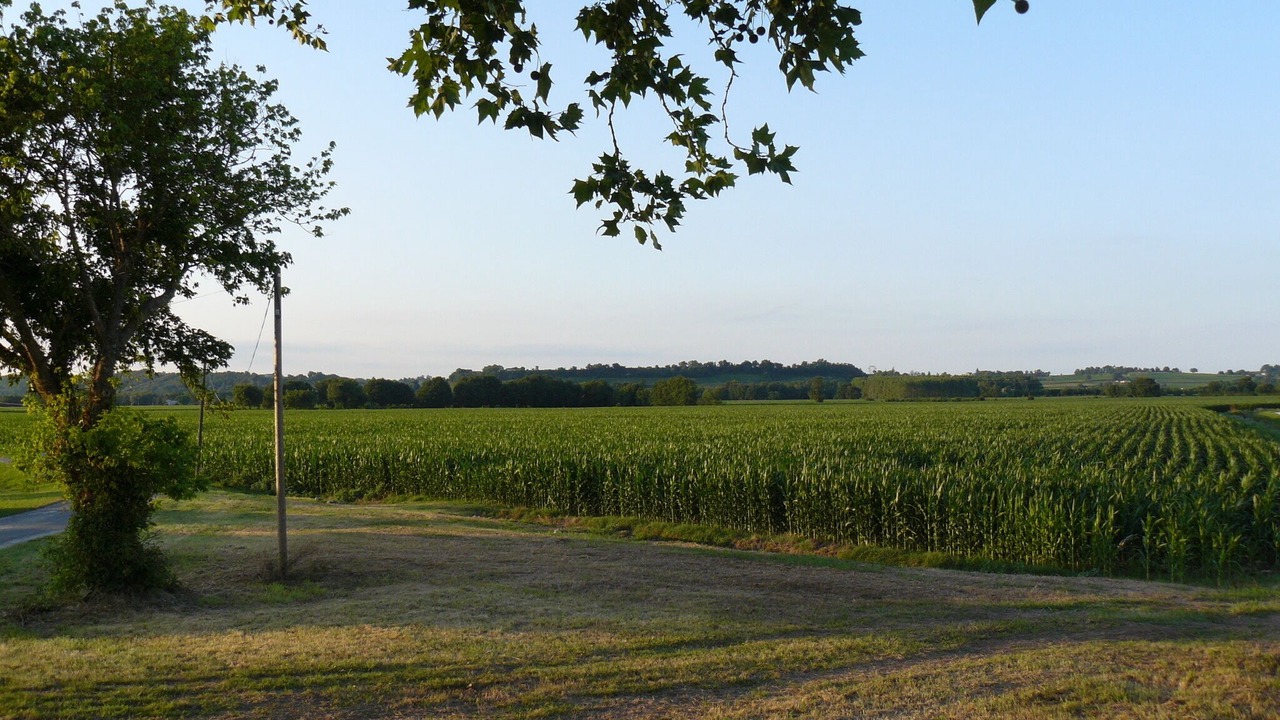 Photo of Outdoor in Saint-Michel-de-Fronsac