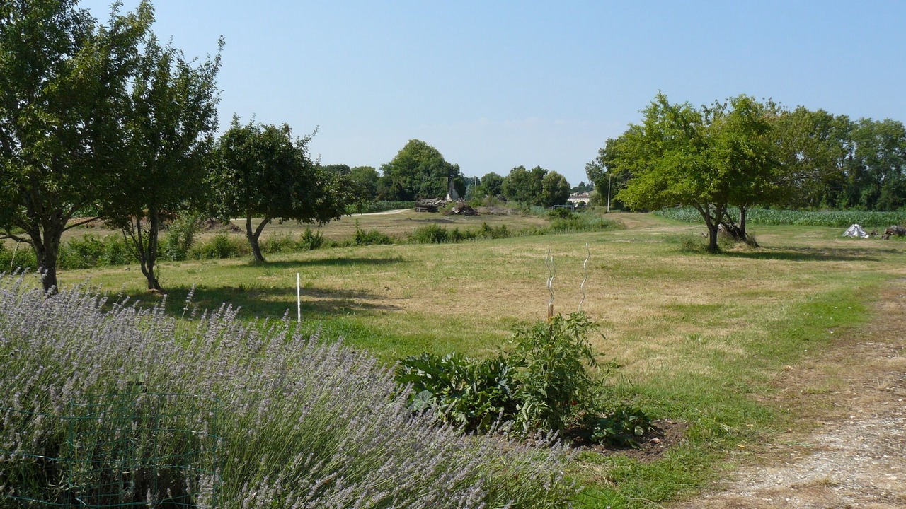 Photo of Others in Saint-Michel-de-Fronsac
