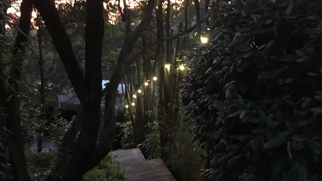 Photo of Outdoor in L'Herbe