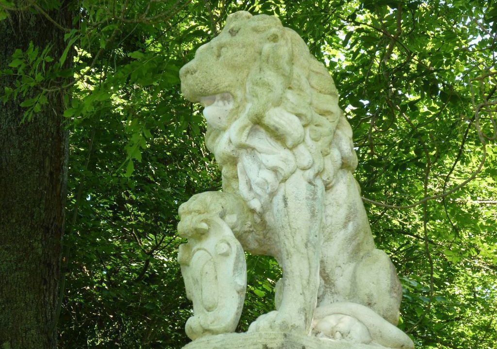 Photo of Outdoor in Haut-de-Bosdarros