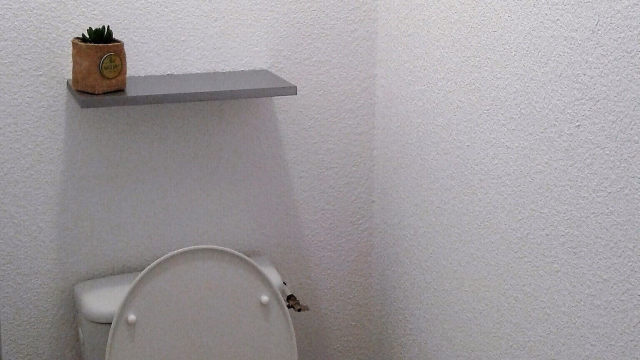 Photo of Bathroom in Ondres