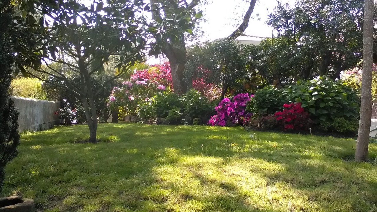 Photo of Outdoor in Pyla-sur-Mer
