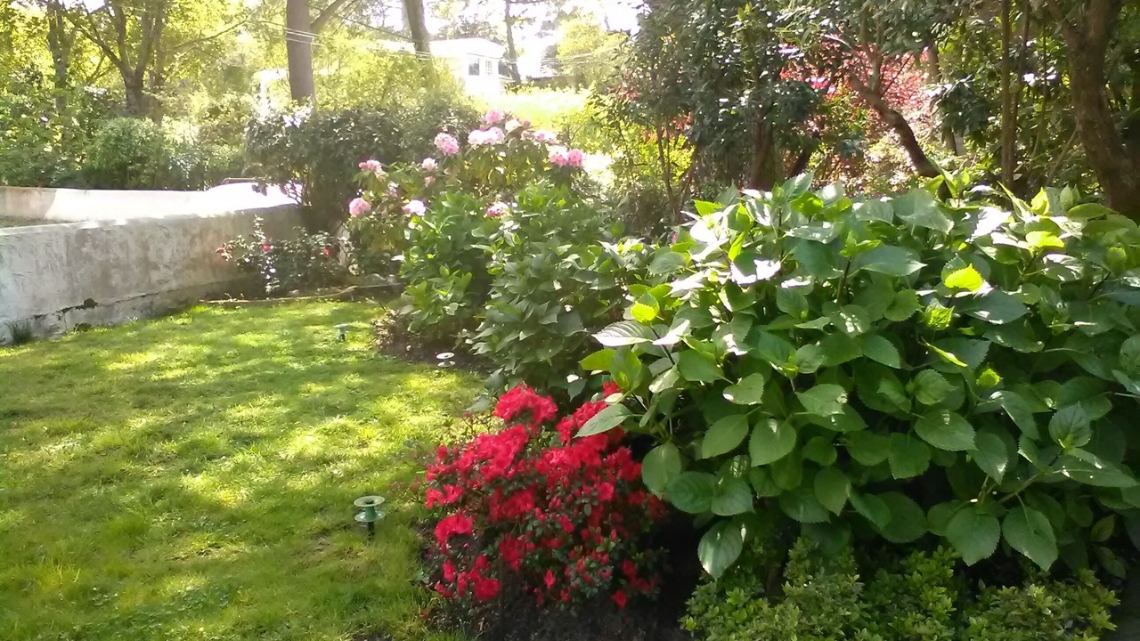 Photo of Outdoor in Pyla-sur-Mer
