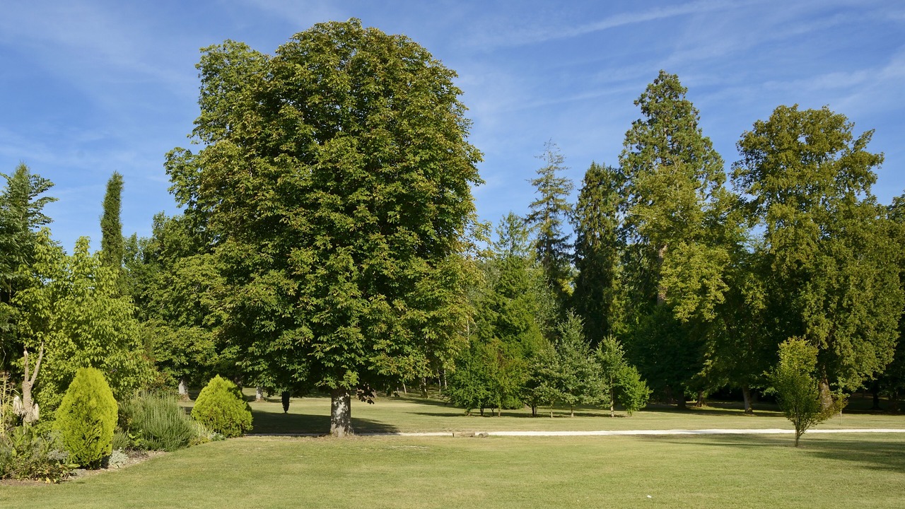 Photo of Others in Petit-Bersac