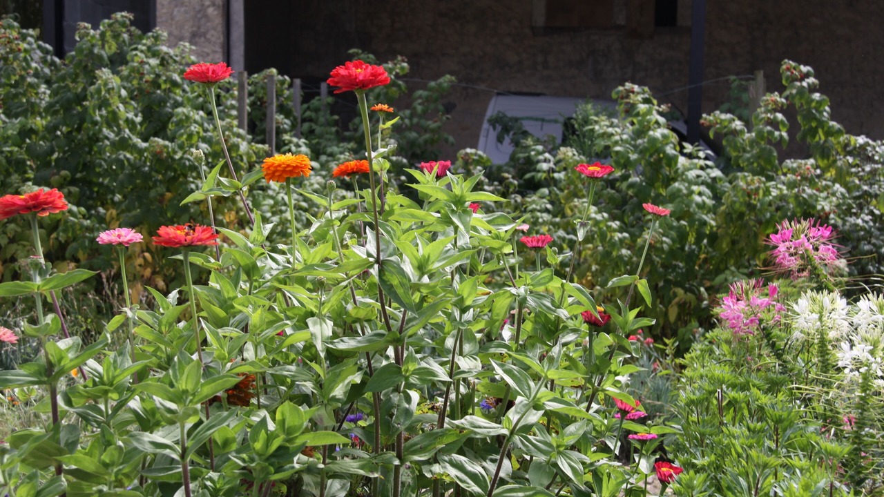 Photo of Outdoor in Petit-Bersac