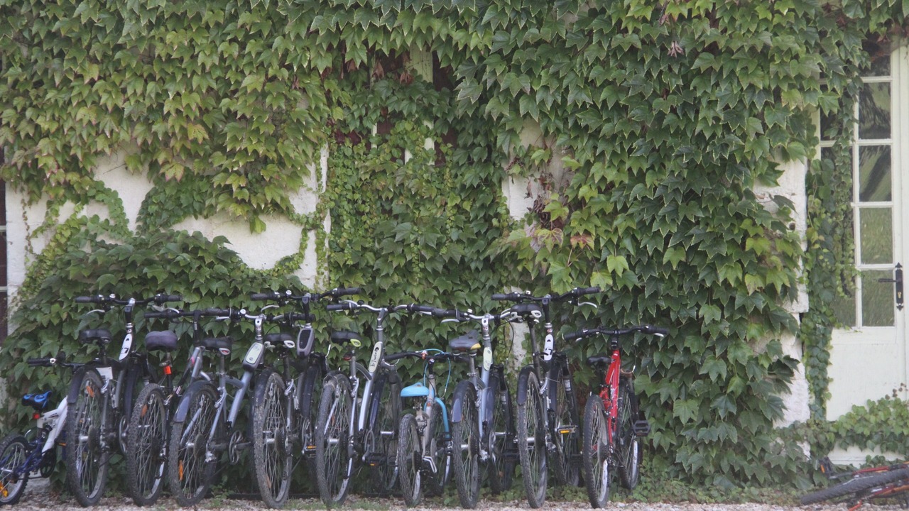 Photo of Outdoor in Petit-Bersac