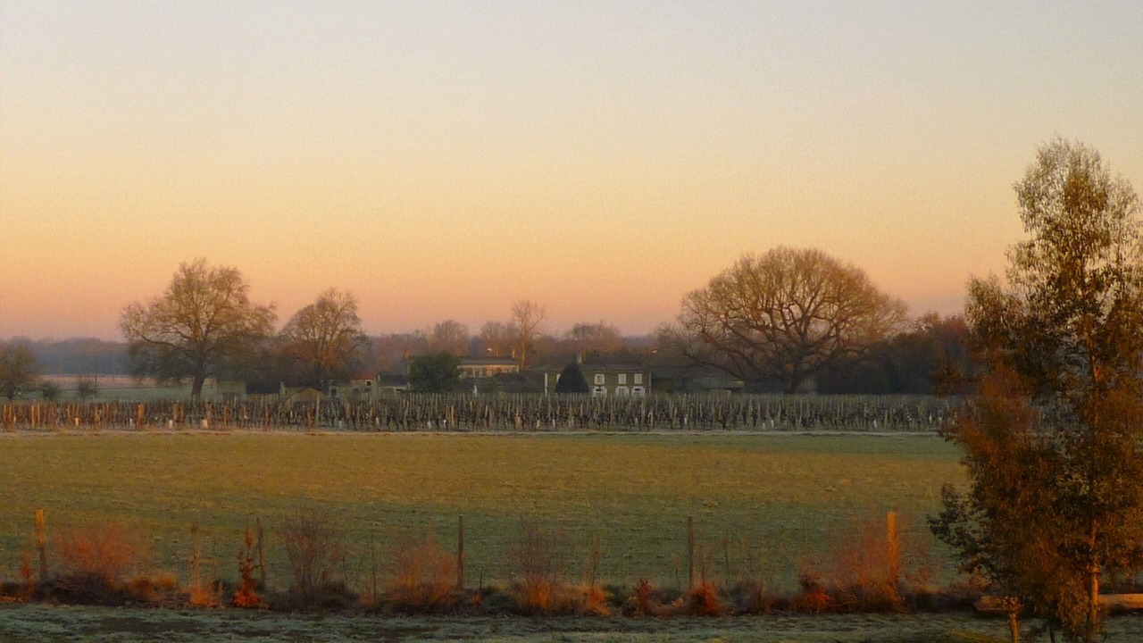 Photo of Outdoor in Saint-Andre-de-Lidon