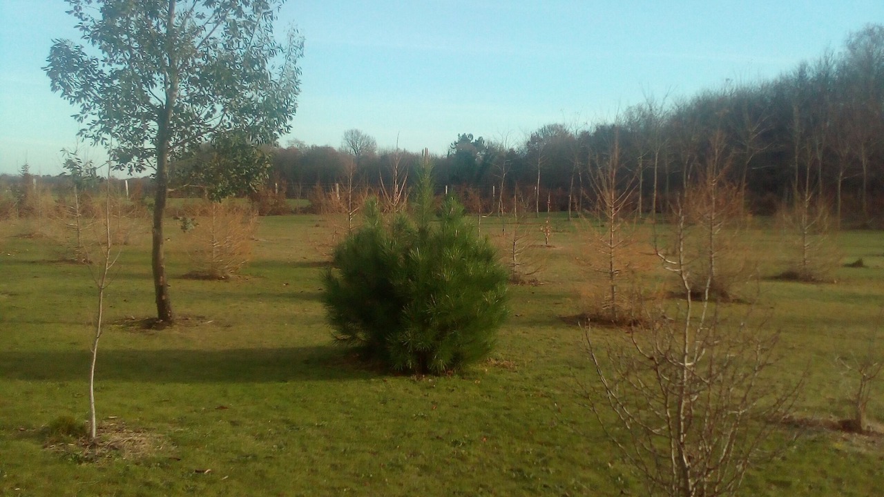 Photo of Outdoor in Saint-Andre-de-Lidon