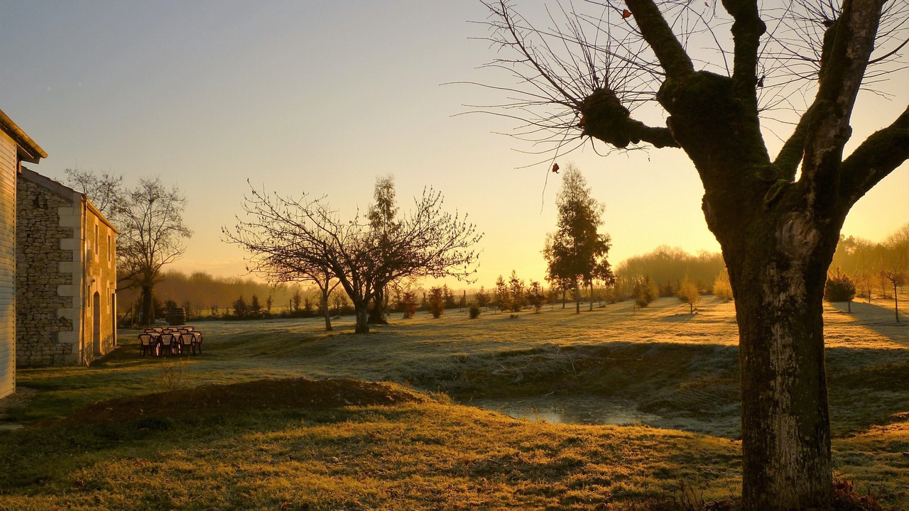 Photo of Outdoor in Saint-Andre-de-Lidon