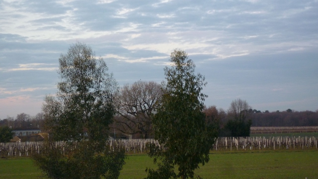 Photo of Outdoor in Saint-Andre-de-Lidon