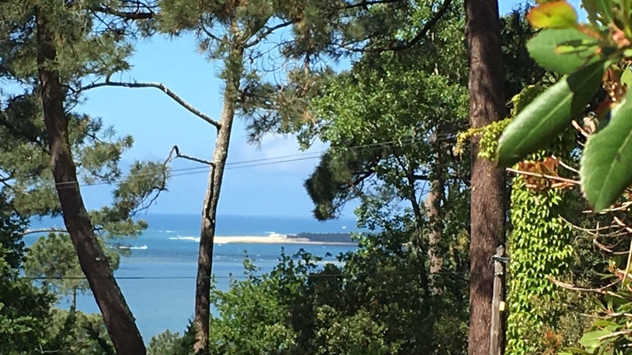 Photo of Outdoor in Pyla-sur-Mer