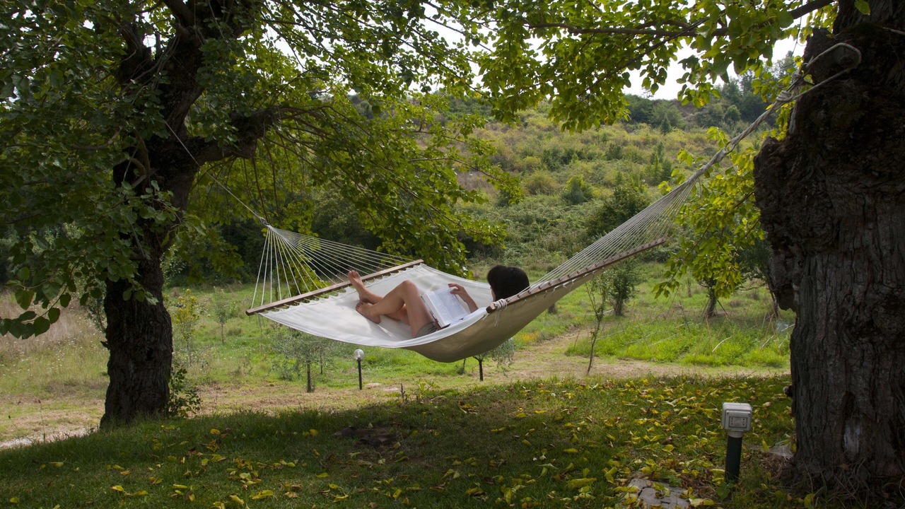 Photo of Others in Figline e Incisa Valdarno