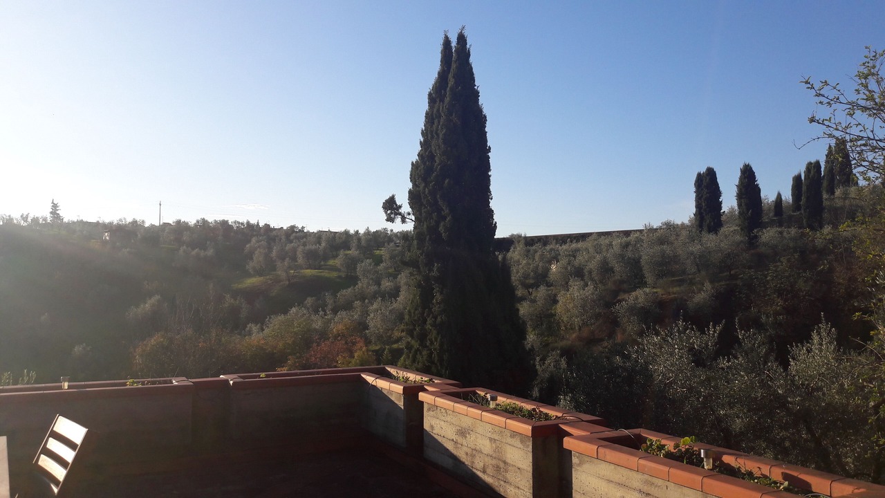 Photo of Outdoor in Carmignano