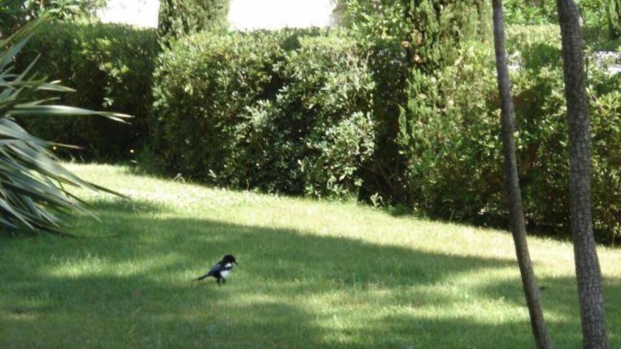 Photo of Outdoor in Toulon - Hyeres
