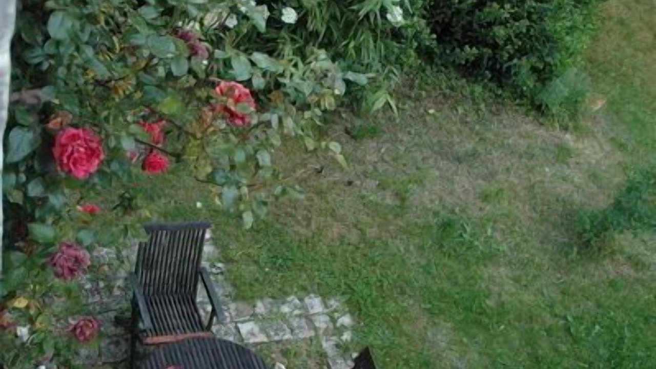 Photo of Outdoor in Cubjac