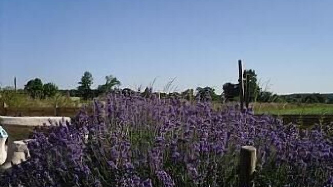Photo of Outdoor in Boisme