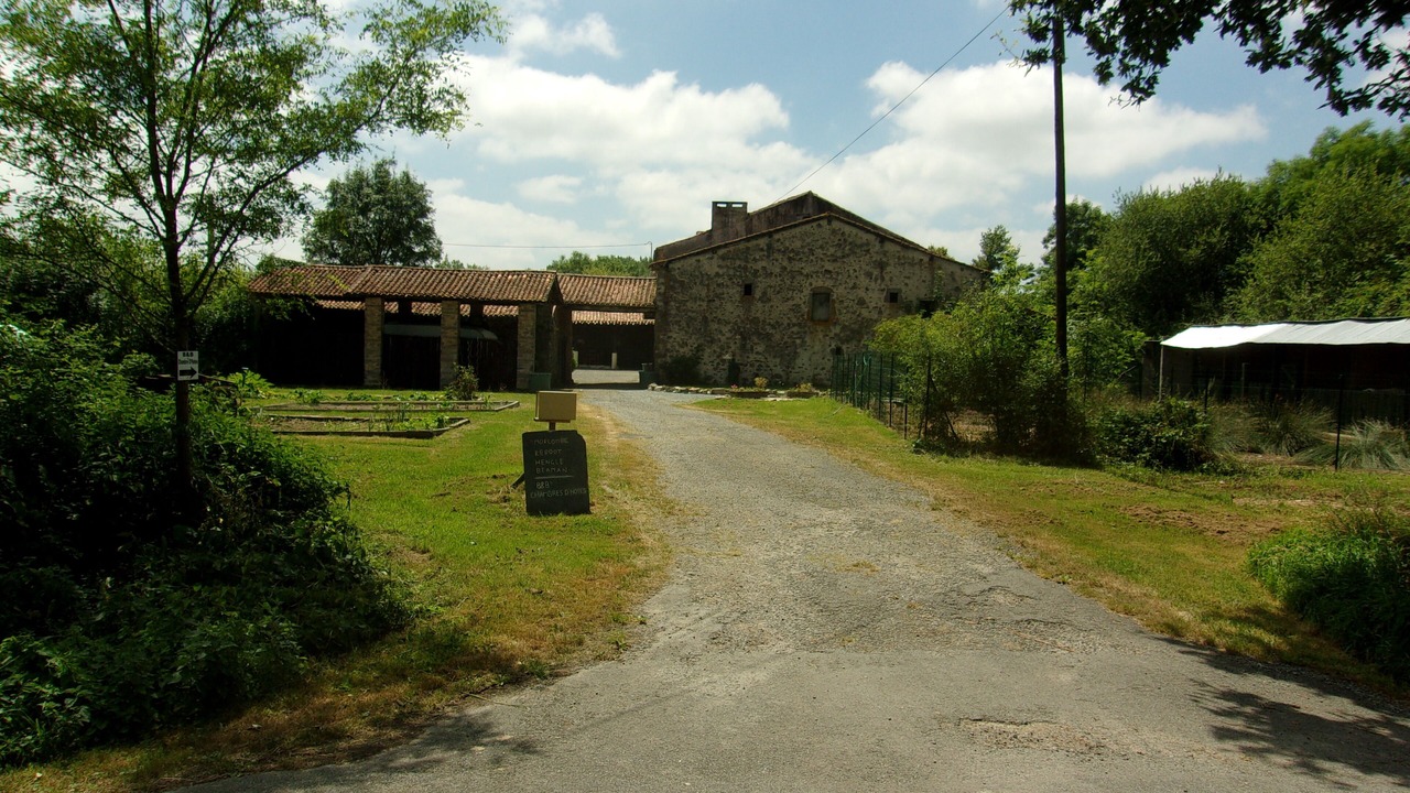 Photo of Outdoor in La Foret-sur-Sevre