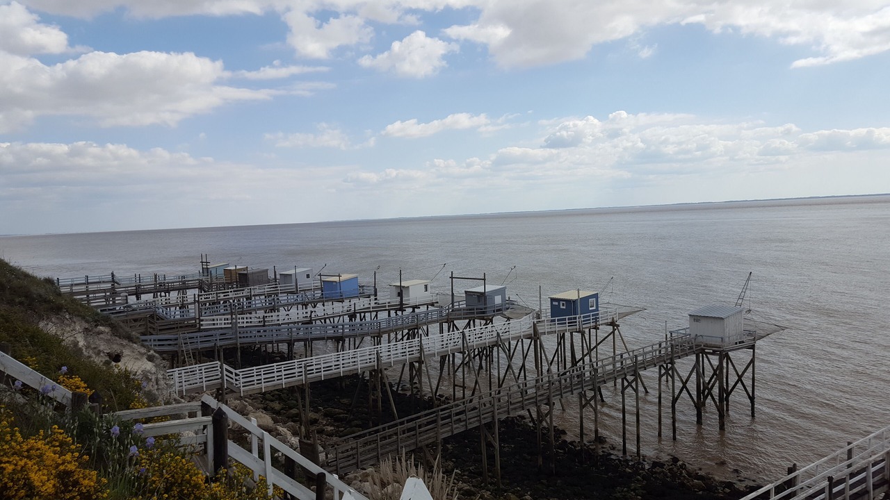 Photo of Others in Port-d'Envaux