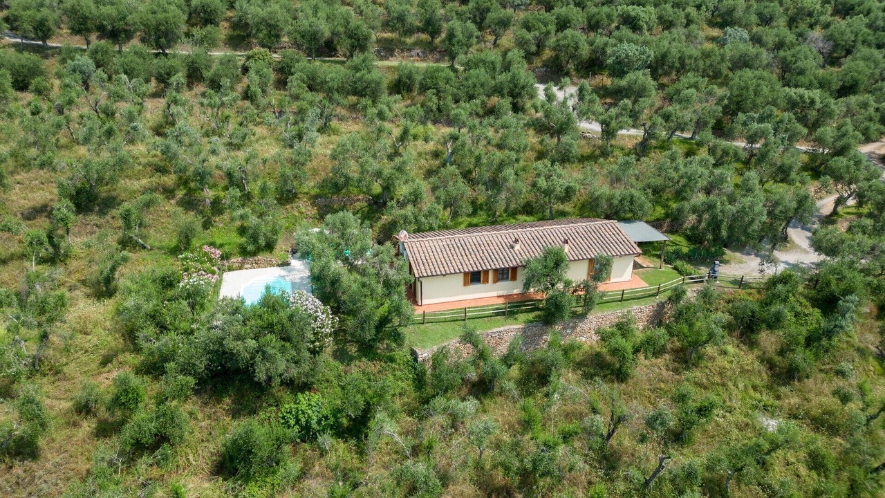 Photo of Outdoor in Calci