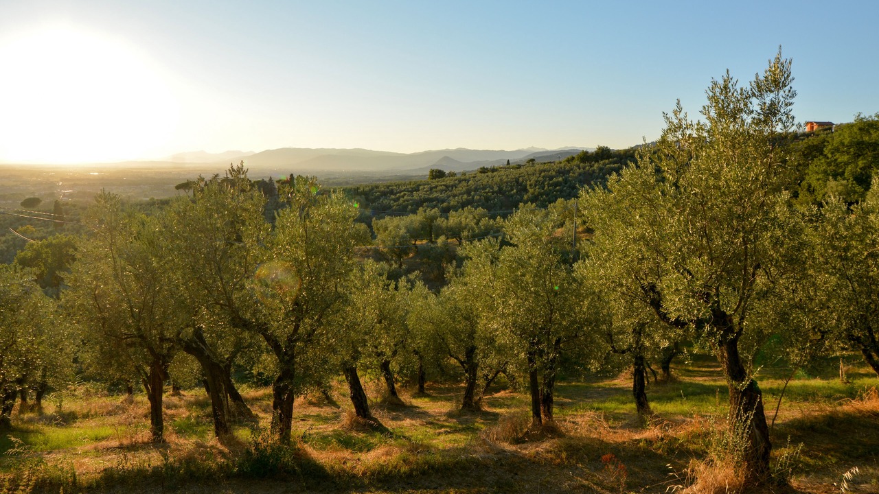 Photo of Outdoor in Fornello