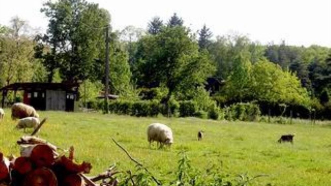 Photo of Others in Saint-Antoine-d'Auberoche