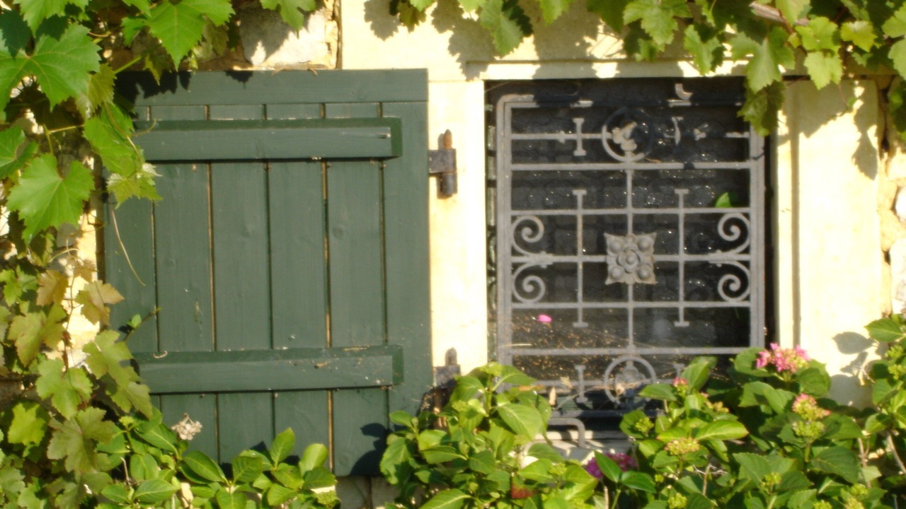 Photo of Outdoor in Vieux-Ruffec