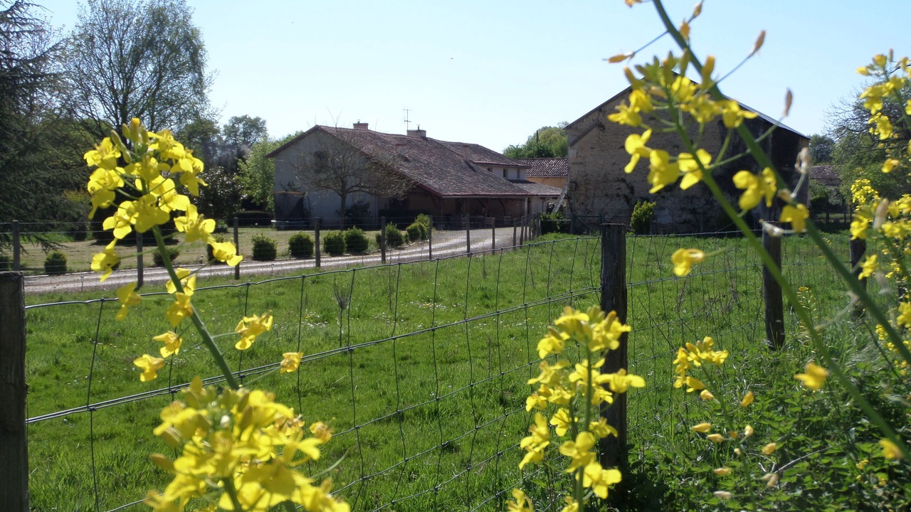 Photo of Others in Romagne