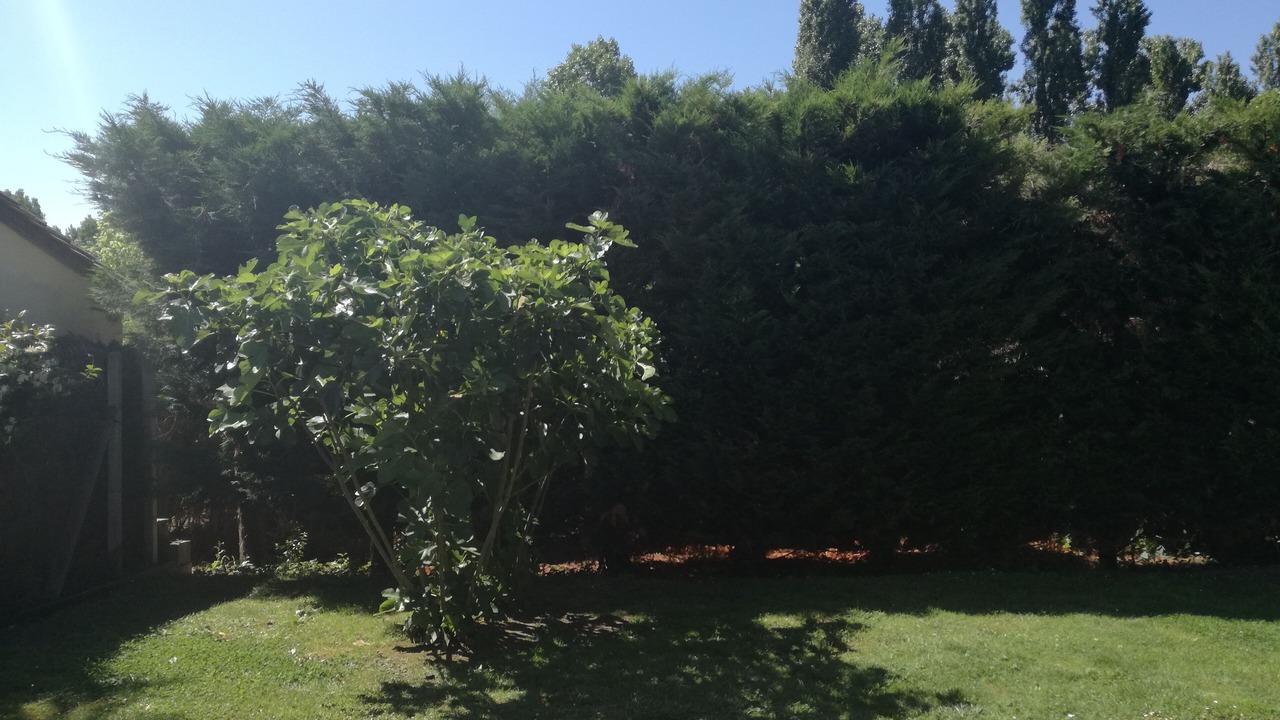 Photo of Outdoor in Tayac