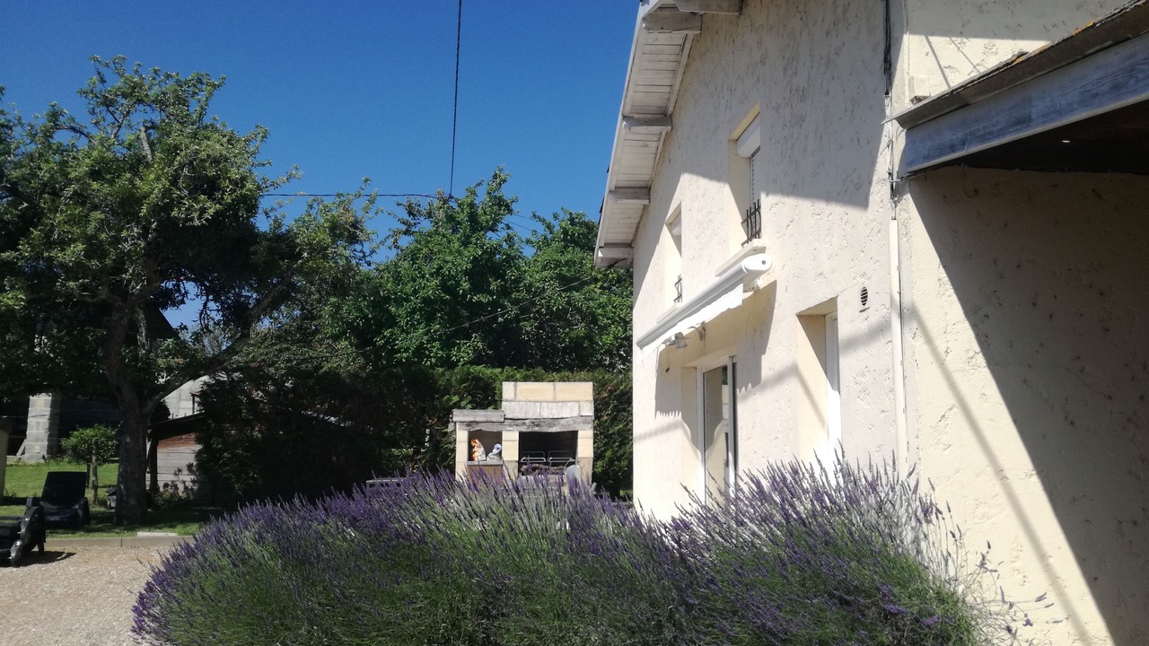 Photo of Outdoor in Tayac