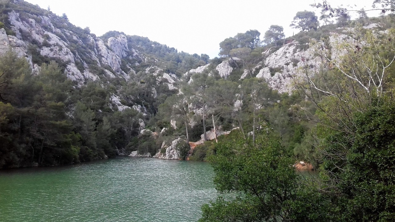 Photo of Others in Le Revest-les-Eaux