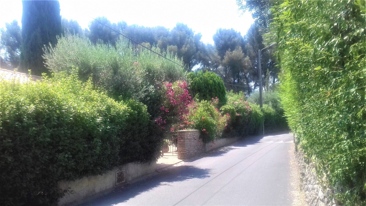 Photo of Outdoor in Le Revest-les-Eaux