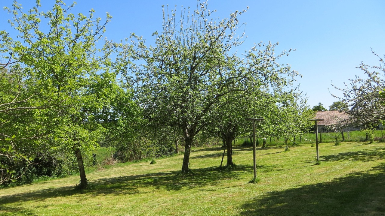 Photo of Outdoor in Maisonnais-sur-Tardoire